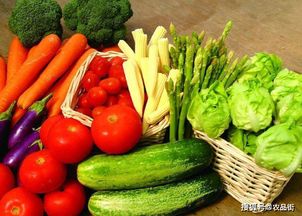 農(nóng)業(yè)社交電商 綠色食品博覽會(huì)中的農(nóng)產(chǎn)品銷(xiāo)售新篇章